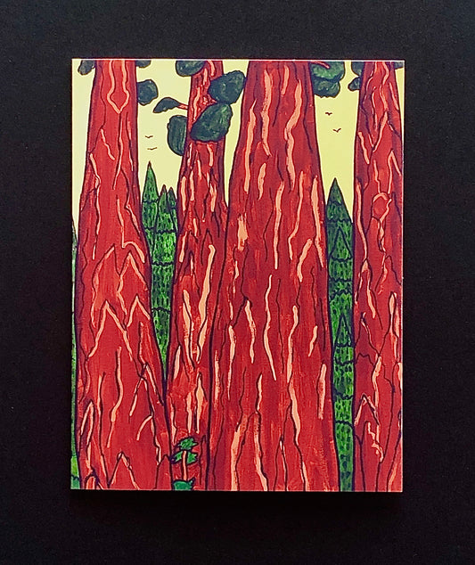 California Redwoods Note Card