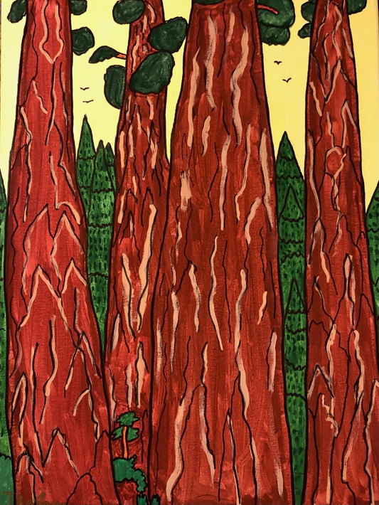 California Redwoods Note Card