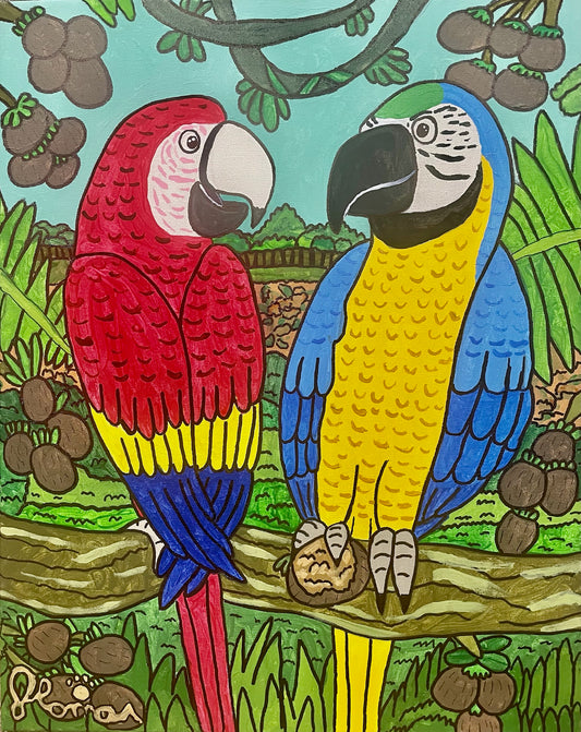 Macaw Note Card